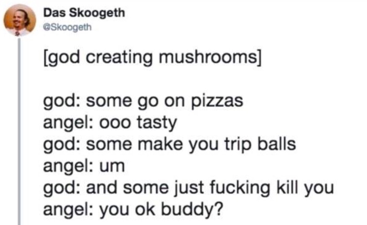Chaotic Meh meme titled “God Creating Mushrooms.”