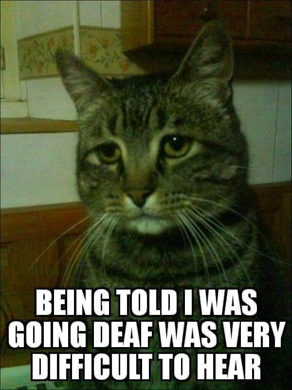 Chaotic Meh meme titled “Going Deaf Hard To Hear.”
