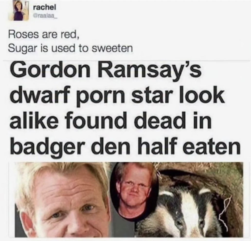 Chaotic Meh meme titled “Gordon Ramsay Dwarf Lookalike Eaten by Badger.”