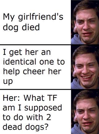 Chaotic Meh meme titled “Got Her an Identical Dog to Cheer Her Up – What Am I Supposed to Do With 2 Dead Dogs.”