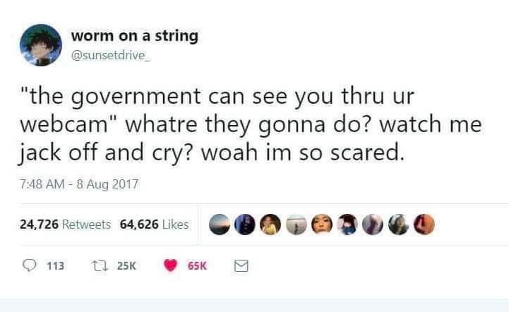 Chaotic Meh meme titled “Government Can See You Through Your Webcam.”