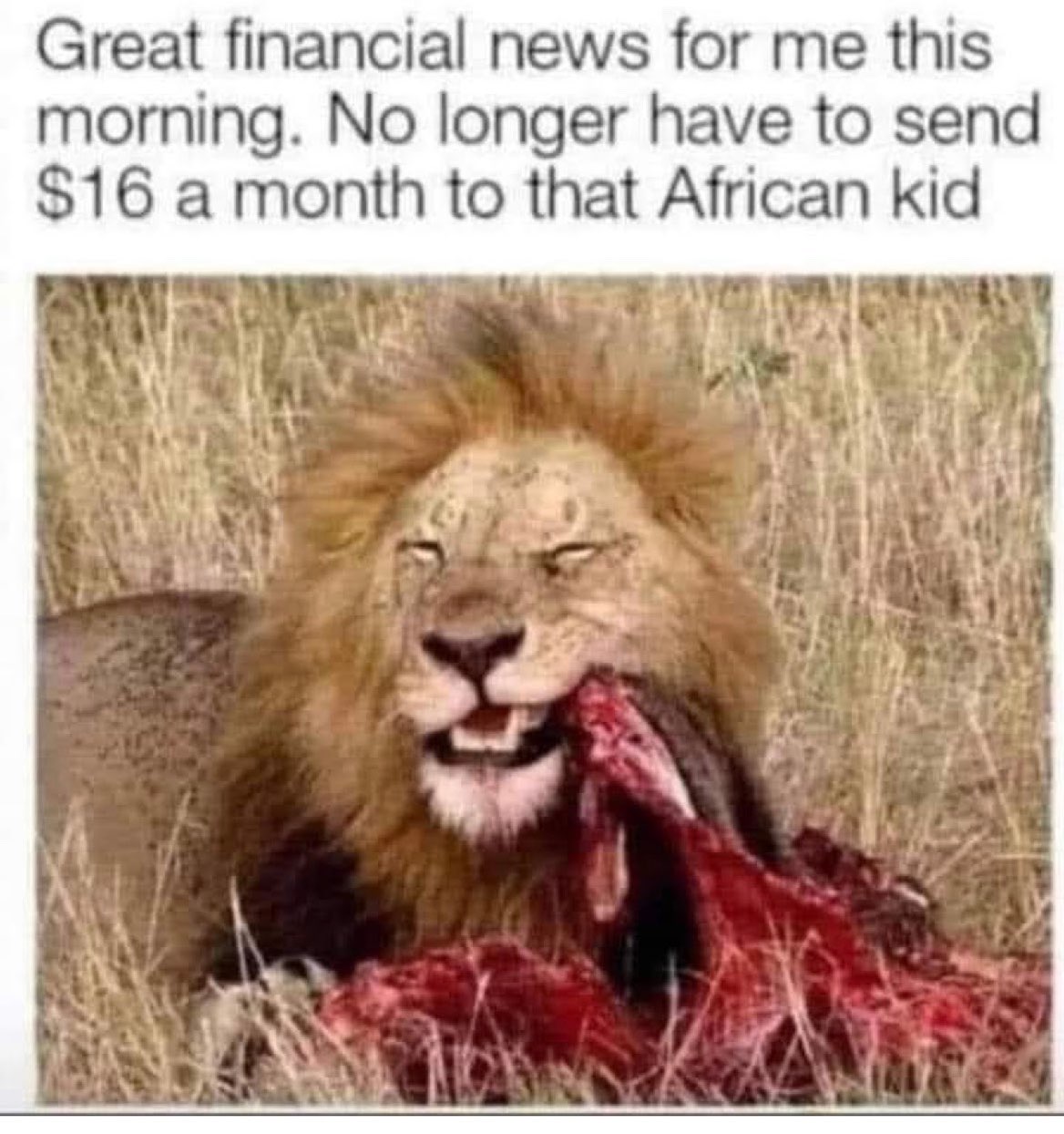 Chaotic Meh meme titled “Great Financial News – No Longer Have to Send a Month to That African Kid.”