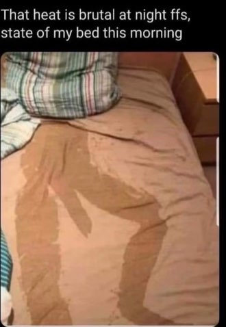 Chaotic Meh meme titled “That Heat Is Brutal at Night – State of My Bed This Morning.”