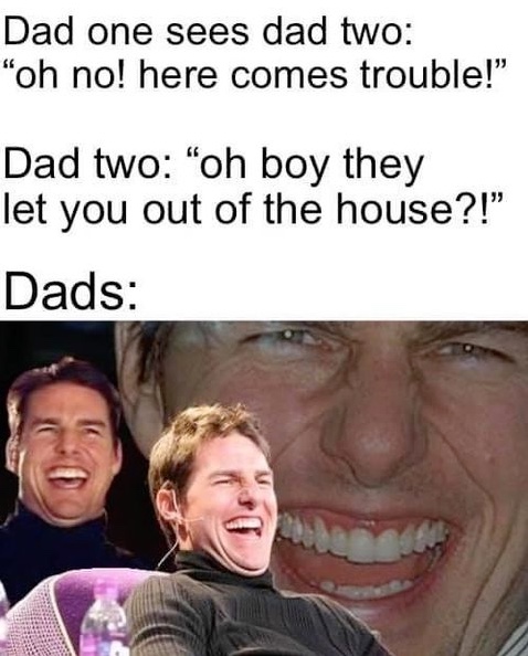 Chaotic Meh meme titled “Here Comes Trouble.”