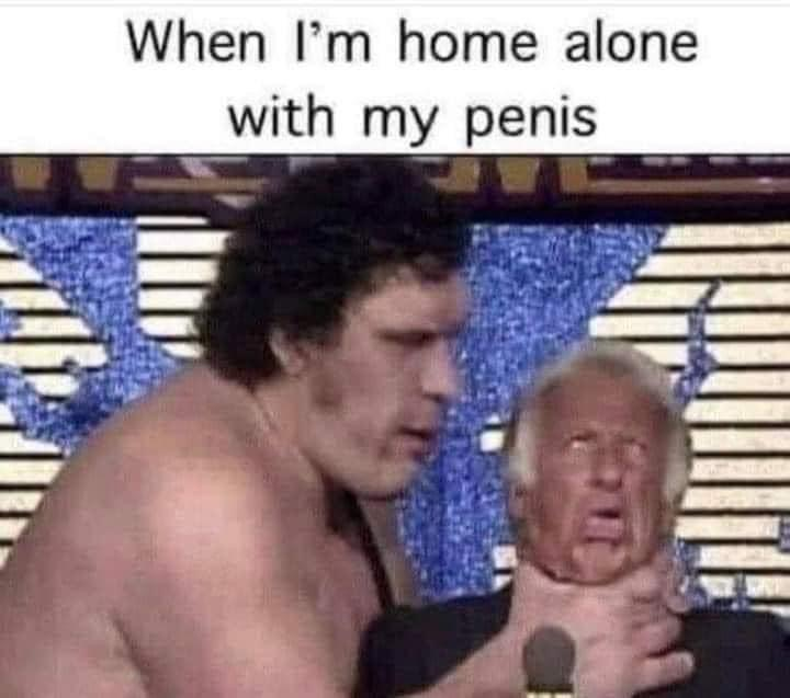 Chaotic Meh meme titled “Home Alone With My Penis.”