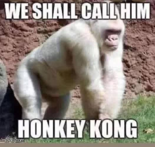 Chaotic Meh meme titled “Honkey Kong.”
