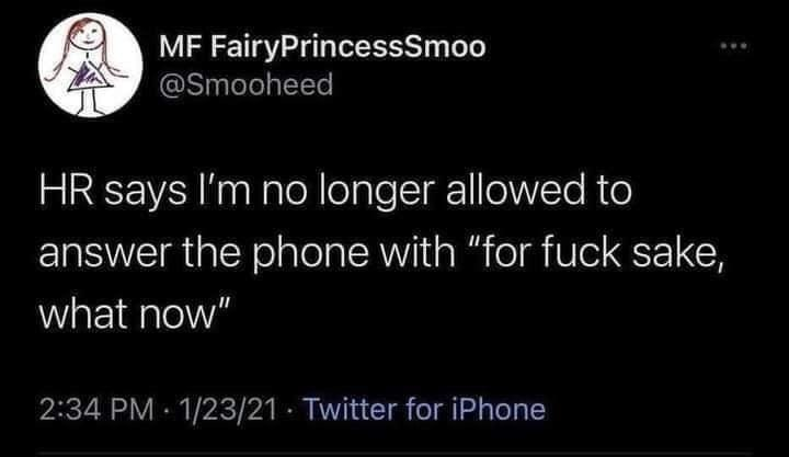 Chaotic Meh meme titled “HR Says I’m No Longer Allowed to Answer the Phone With For Fuck Sake What Now.”