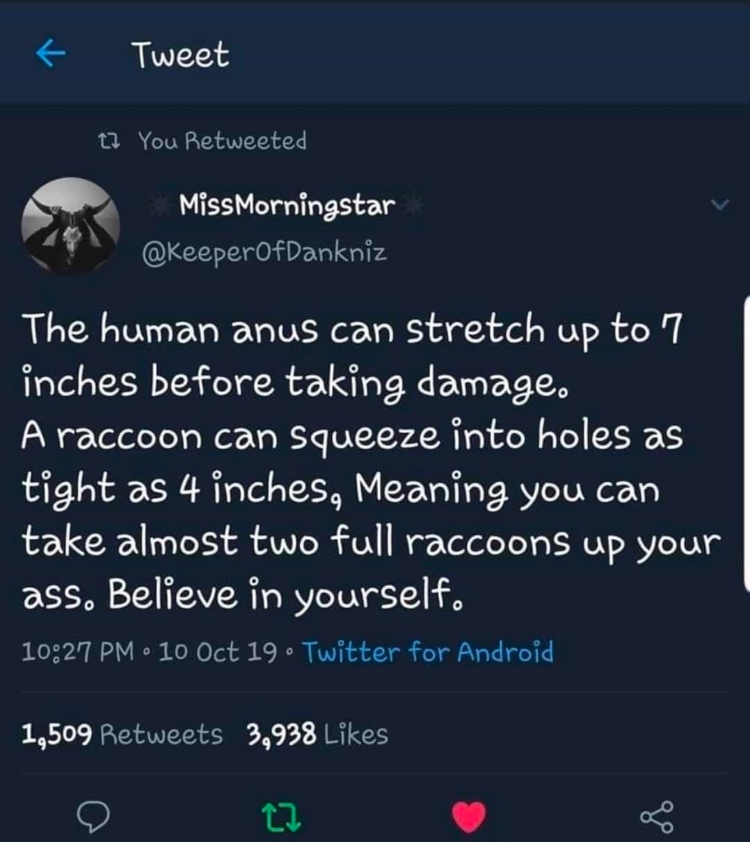 Chaotic Meh meme titled “The Human Anus Can Stretch Up to 7 Inches – You Can Take Almost Two Full Raccoons Up Your Ass…