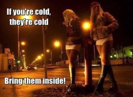 Chaotic Meh meme titled “If You’re Cold, They’re Cold – Bring Them Inside.”