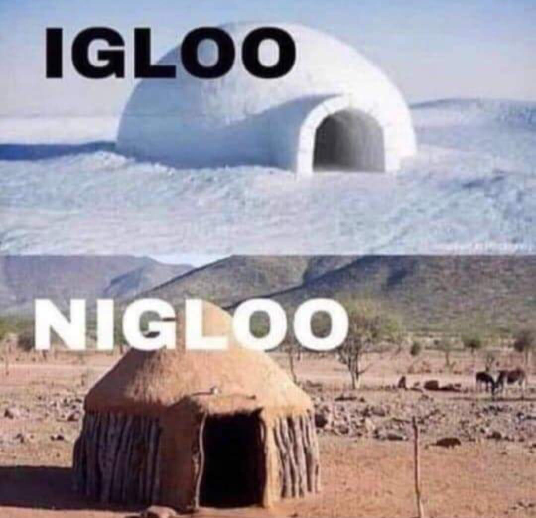 Chaotic Meh meme titled “Igloo Nigloo.”