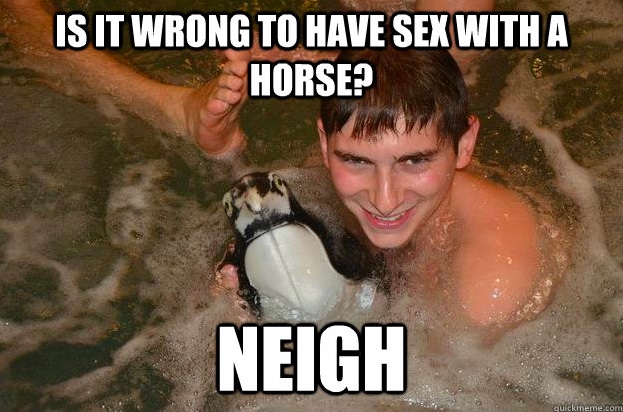 Chaotic Meh meme titled “Is It Wrong to Have Sex With a Horse? NEIGH.”