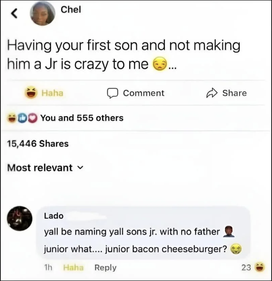 Chaotic Meh meme titled “Junior Bacon Cheeseburger.”
