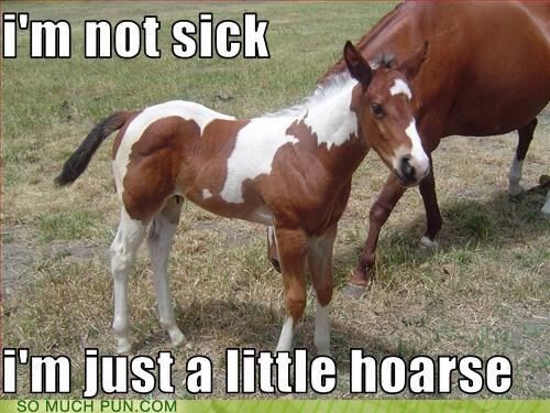 Chaotic Meh meme titled “Little Hoarse.”
