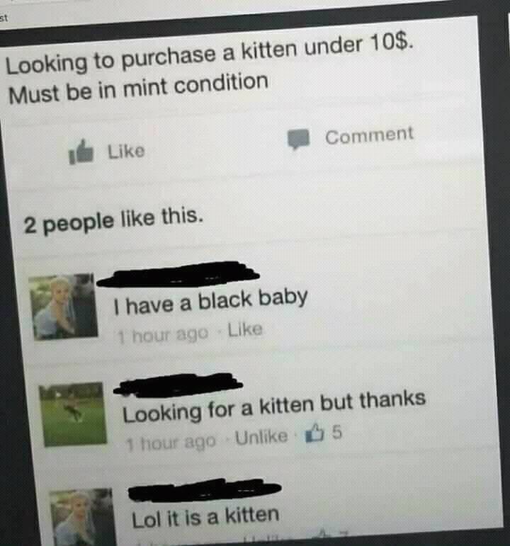 Chaotic Meh meme titled “Looking to Purchase a Kitten Under – Must Be in Mint Condition.”