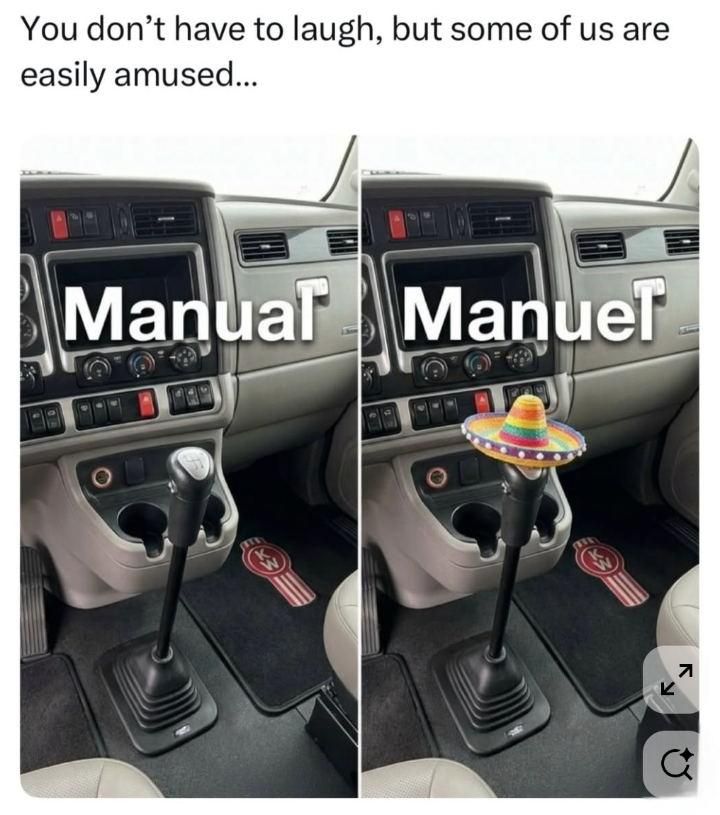 Chaotic Meh meme titled “Manual Manuel.”