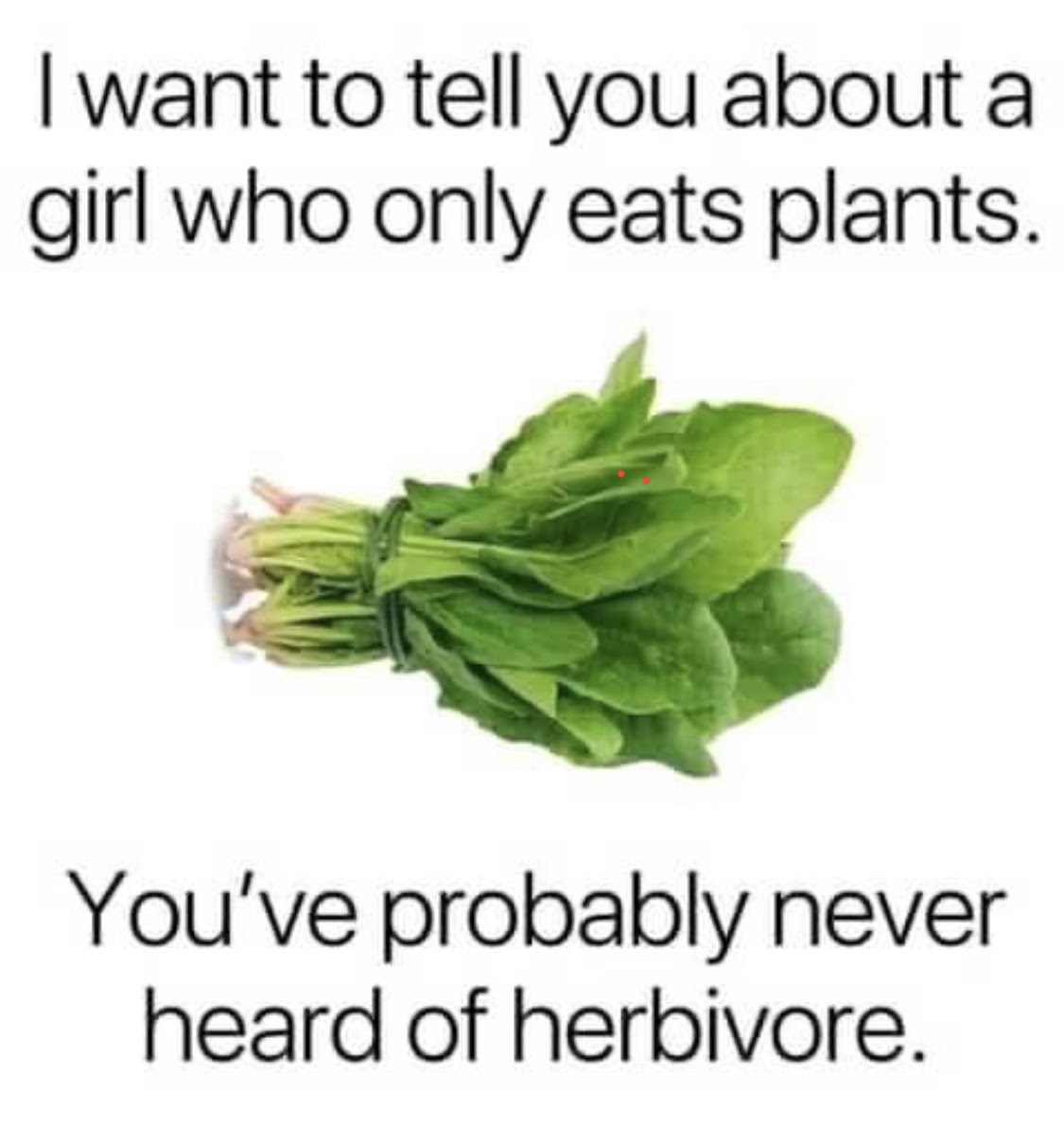 Chaotic Meh meme titled “Never Heard of Herbivore.”