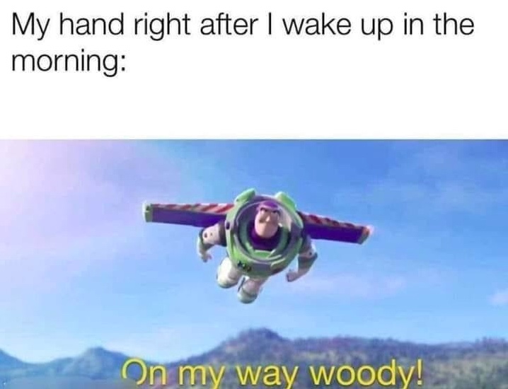 Chaotic Meh meme titled “On My Way Woody.”