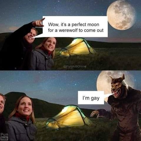 Chaotic Meh meme titled “Perfect Moon Im Gay.”