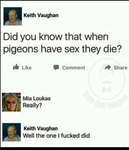 Chaotic Meh meme titled “When Pigeons Have Sex They Die – Well the One I Fucked Did.”