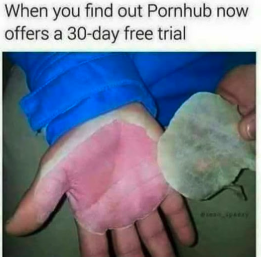 Chaotic Meh meme titled “When You Find Out Pornhub Now Offers a 30-Day Free Trial.”