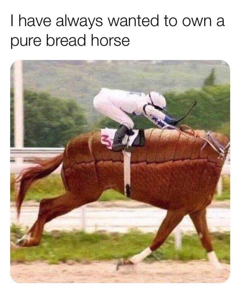 Chaotic Meh meme titled “Pure Bread Horse.”