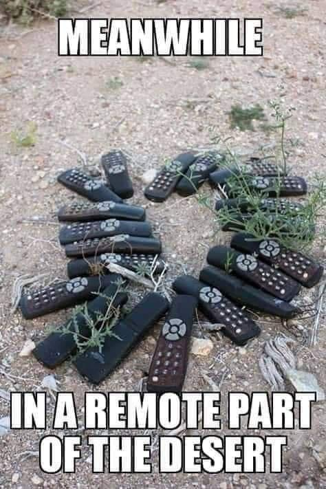 Chaotic Meh meme titled “Remote Part Desert.”