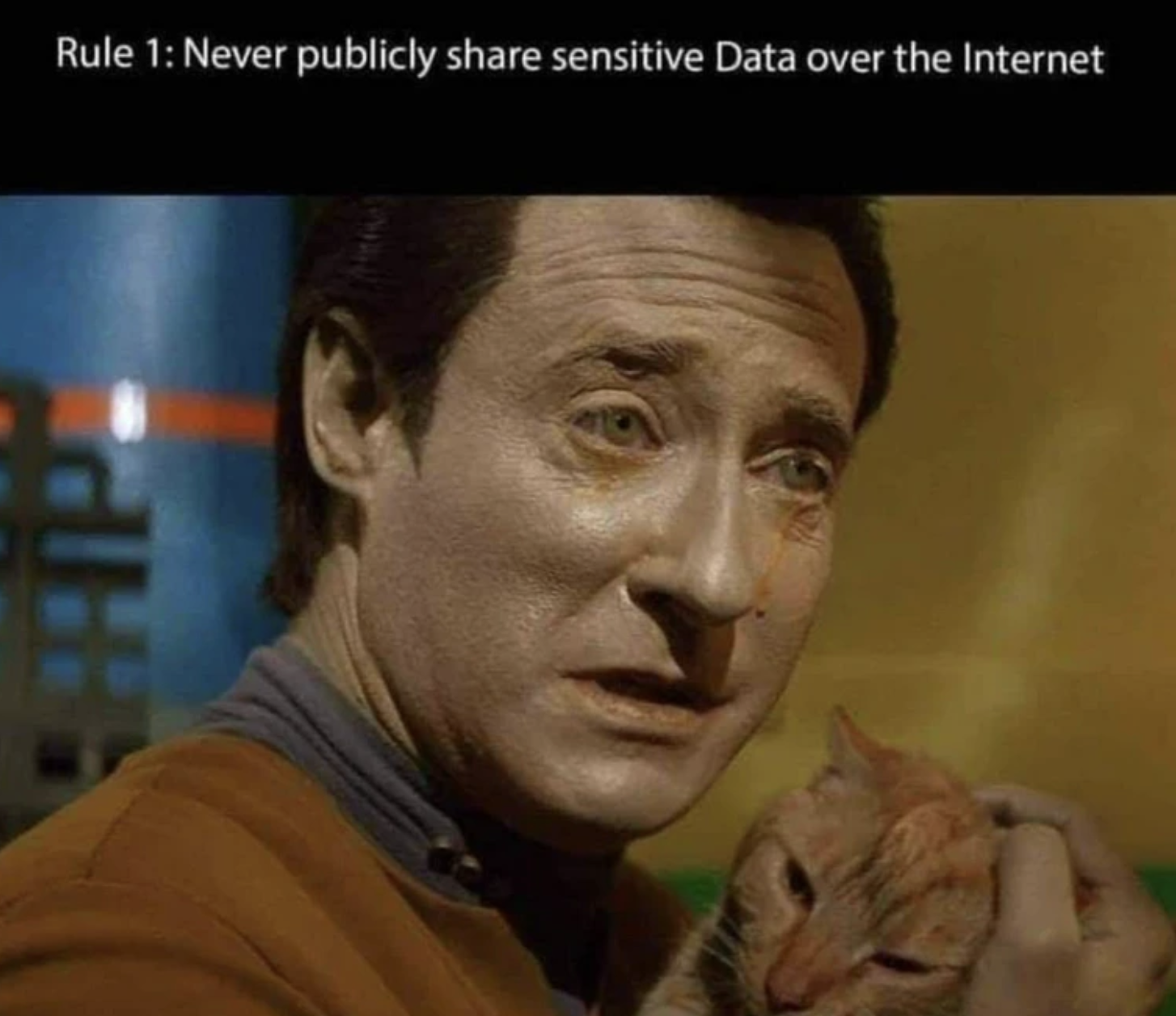 Chaotic Meh meme titled “Rule 1: Never Publicly Share Sensitive Data.”