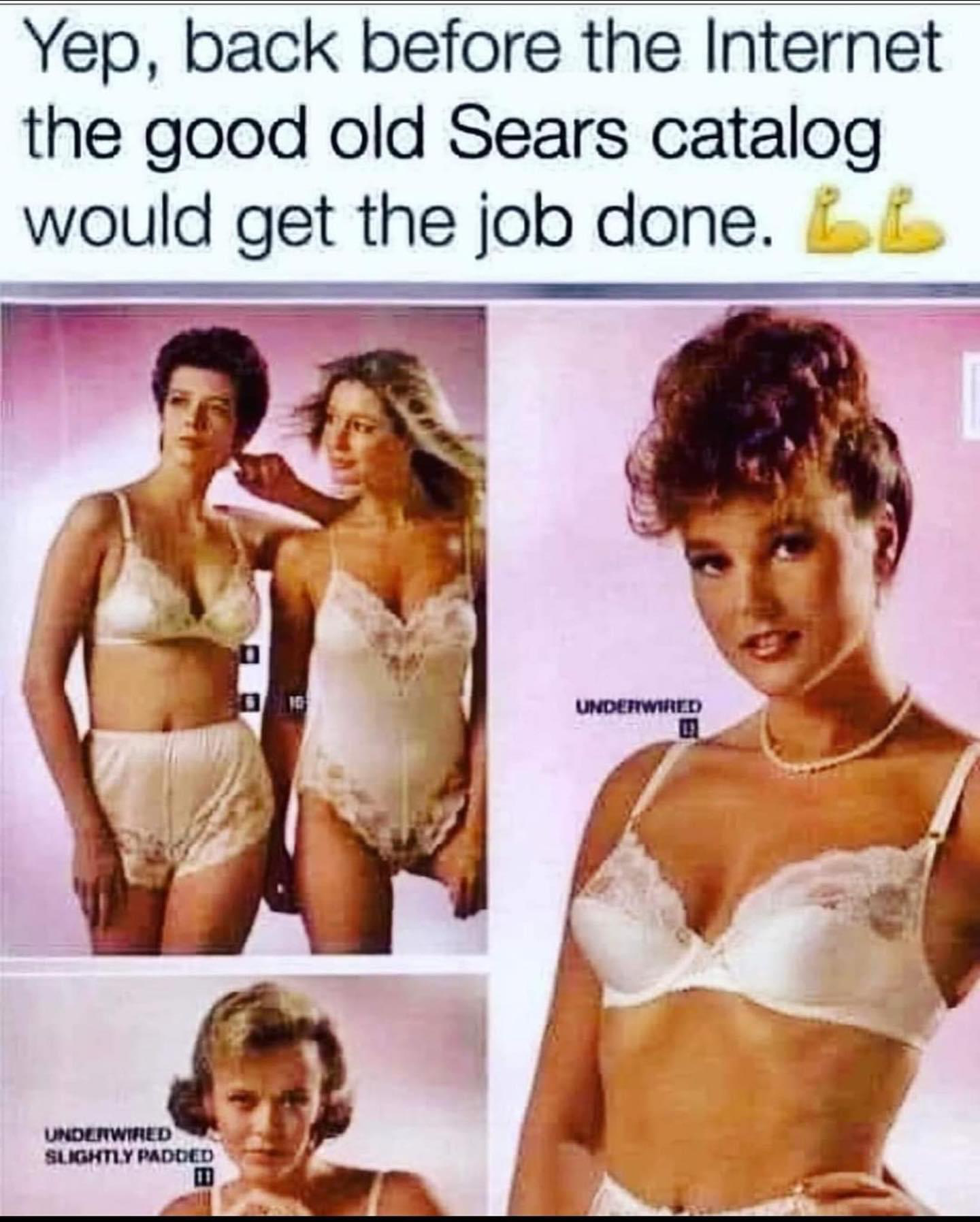 Chaotic Meh meme titled “Back Before the Internet the Good Old Sears Catalog.”