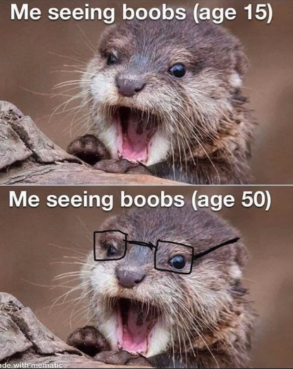 Chaotic Meh meme titled “Me Seeing Boobs (Age 15 vs Age 50).”