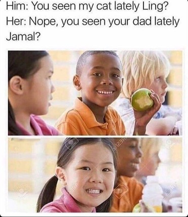 Chaotic Meh meme titled “You Seen My Cat Lately Ling.”
