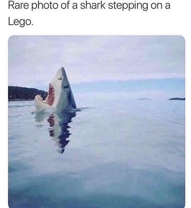 Chaotic Meh meme titled “Shark Stepping On Lego.”