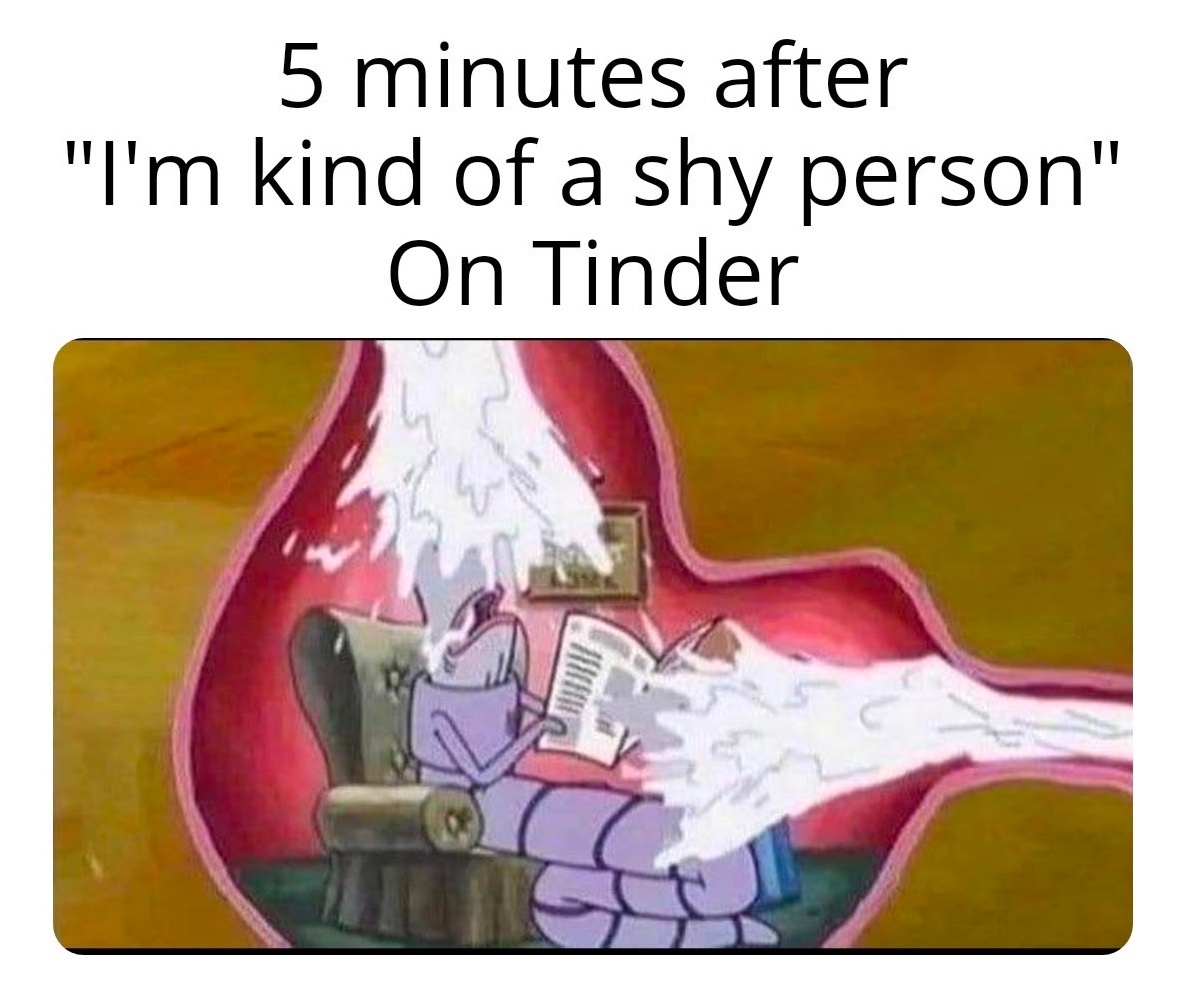 Chaotic Meh meme titled “Shy Person Tinder 5 Min.”