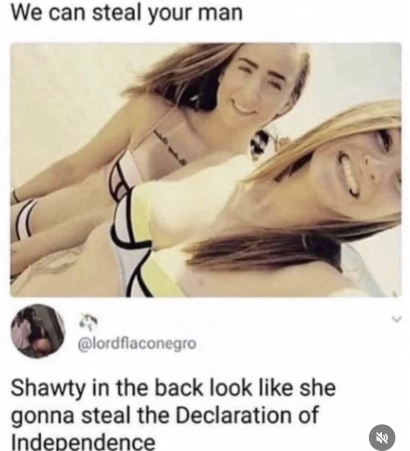 Chaotic Meh meme titled “Steal the Declaration of Independence.”