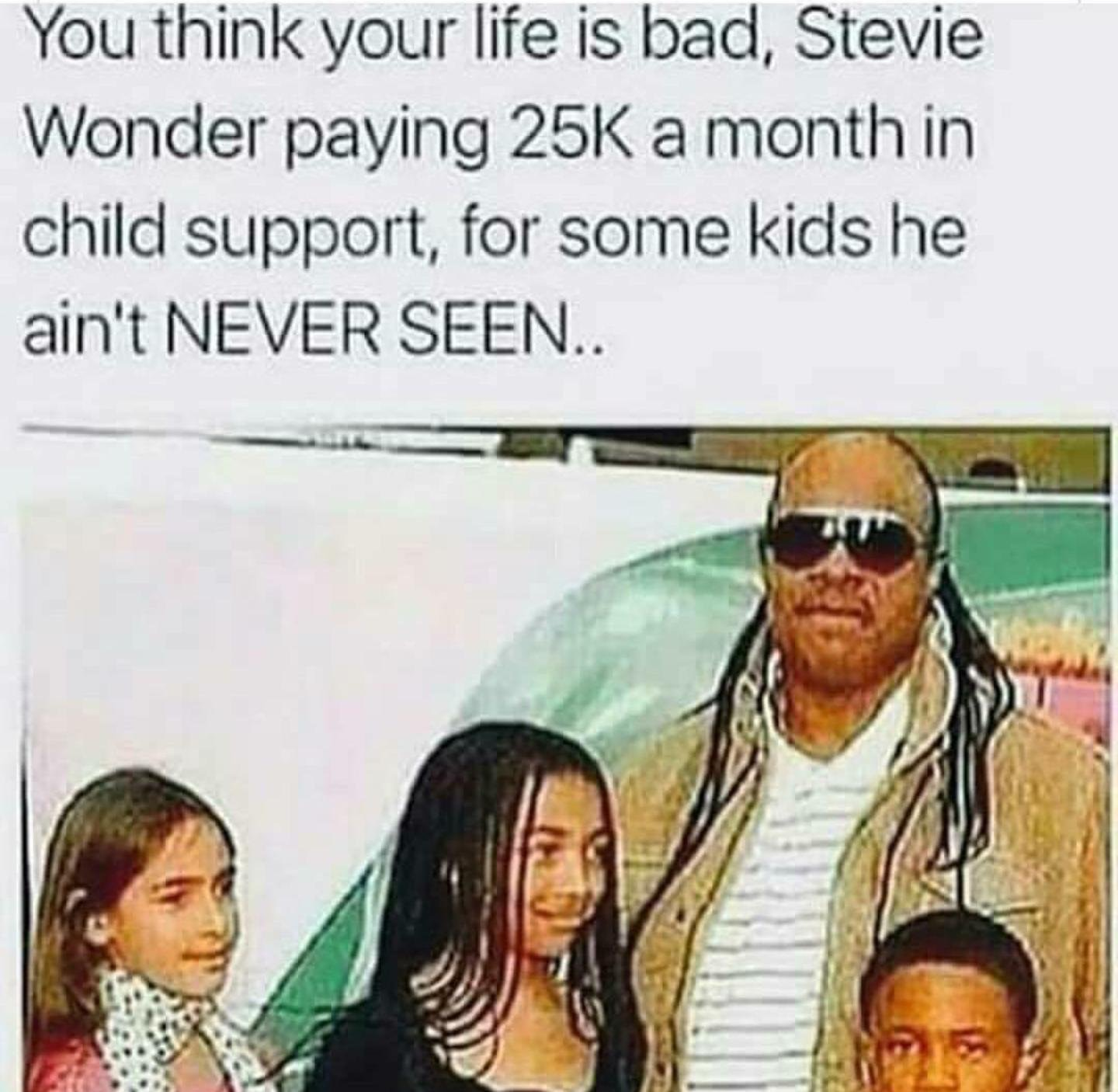 Chaotic Meh meme titled “Stevie Wonder Child Support.”
