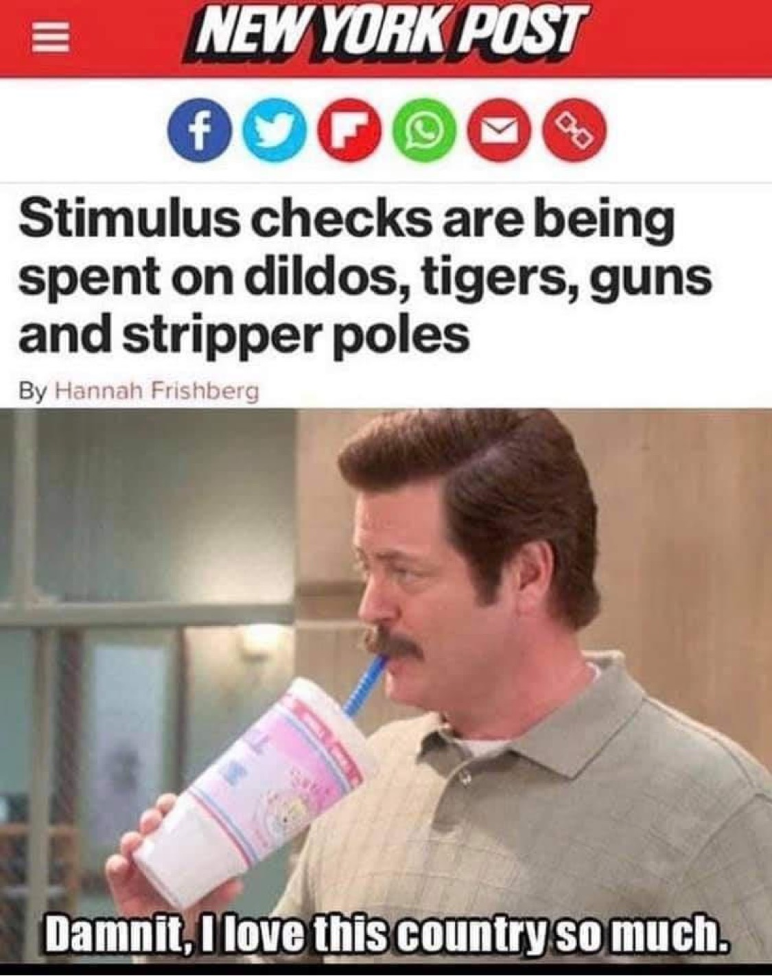 Chaotic Meh meme titled “Stimulus Checks Are Being Spent on Dildos, Tigers, Guns and Stripper Poles.”