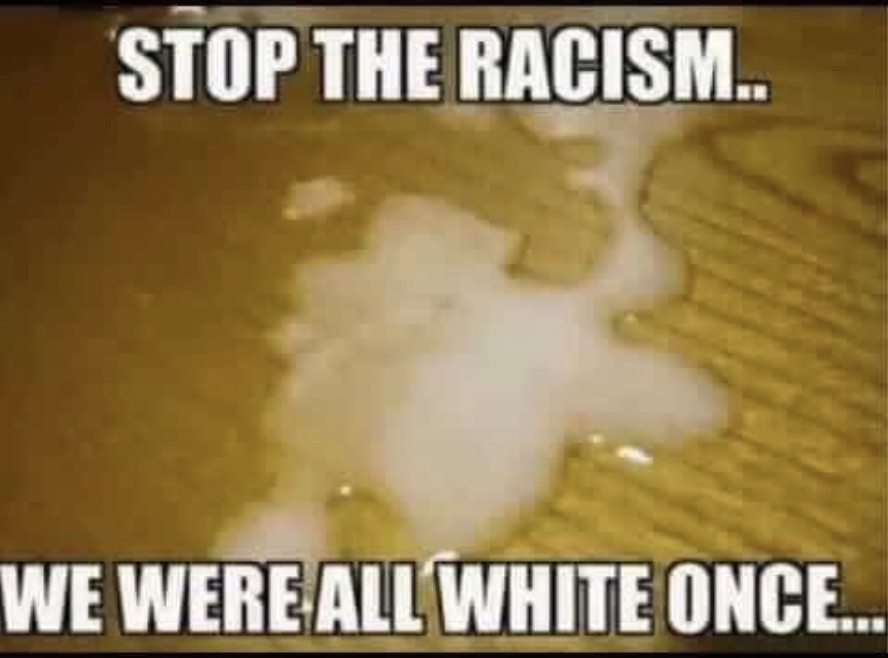 Chaotic Meh meme titled “Stop the Racism – We Were All White Once.”