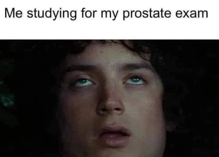 Chaotic Meh meme titled “Studying Prostate Exam.”