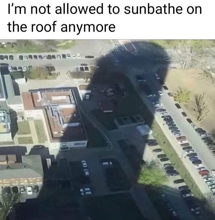 Chaotic Meh meme titled “Sunbathe On The Roof.”
