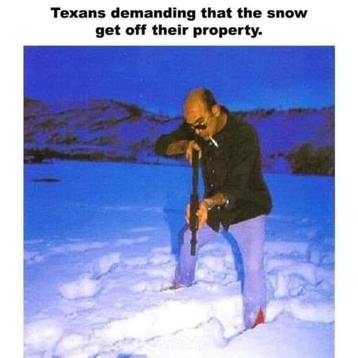 Chaotic Meh meme titled “Texans Snow Property.”