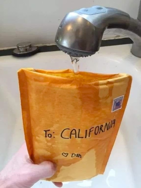Chaotic Meh meme titled “To California.”