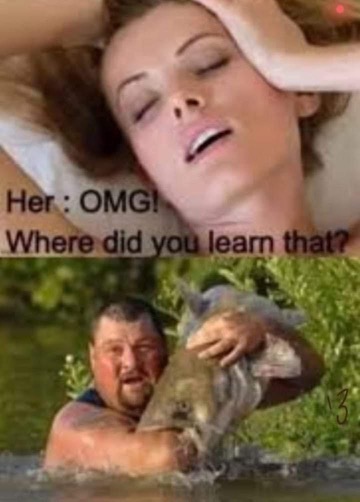 Chaotic Meh meme titled “OMG Where Did You Learn That.”