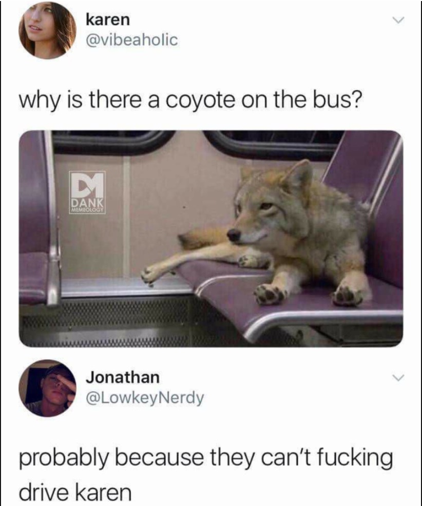 Chaotic Meh meme titled “Why Is There a Coyote on the Bus? They Can’t Fucking Drive Karen.”