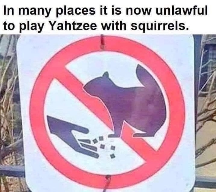 Chaotic Meh meme titled “Yahtzee With Squirrels.”