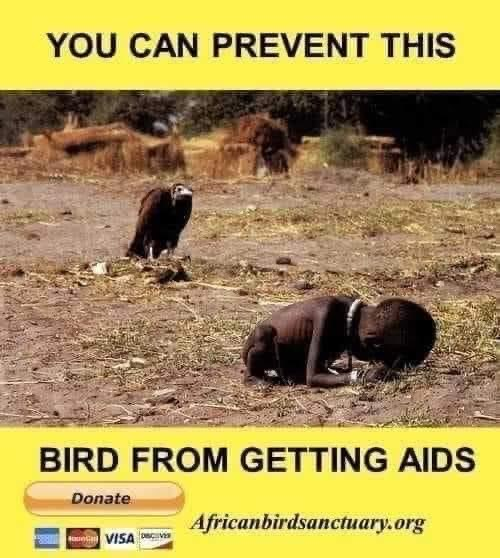 Chaotic Meh meme titled “You Can Prevent This Bird From Getting AIDS.”