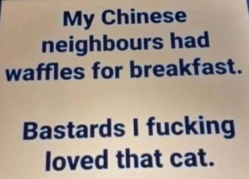 Chaotic Meh meme titled “Chinese Neighbours Waffles Cat.”
