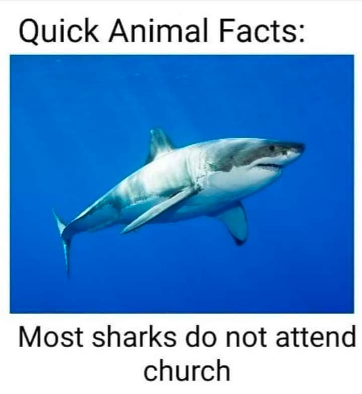 Chaotic Meh meme titled “Most Sharks Do Not Attend Church.”