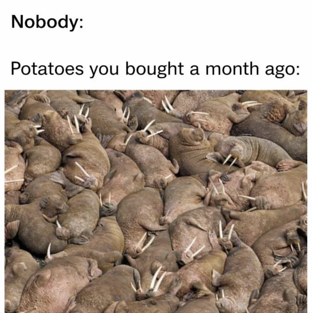 Chaotic Meh meme titled “Potatoes You Bought a Month Ago.”