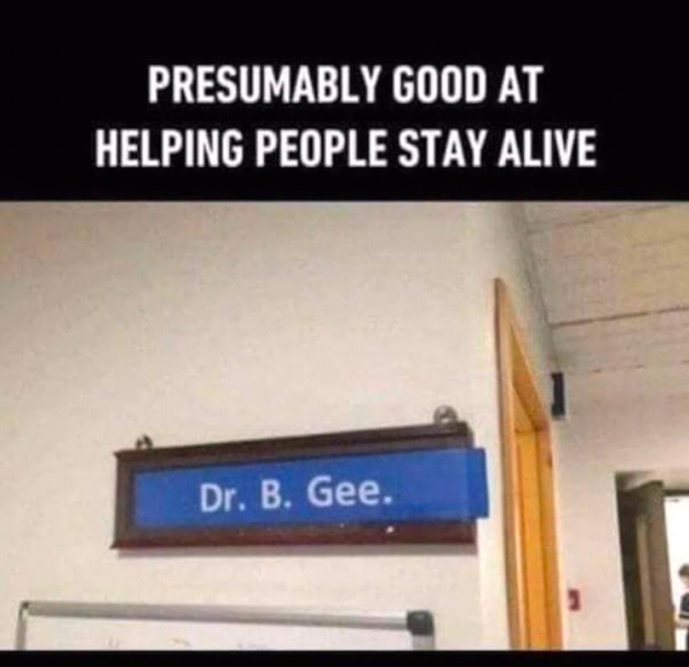 Chaotic Meh meme titled “Presumably Good at Helping People Stay Alive.”