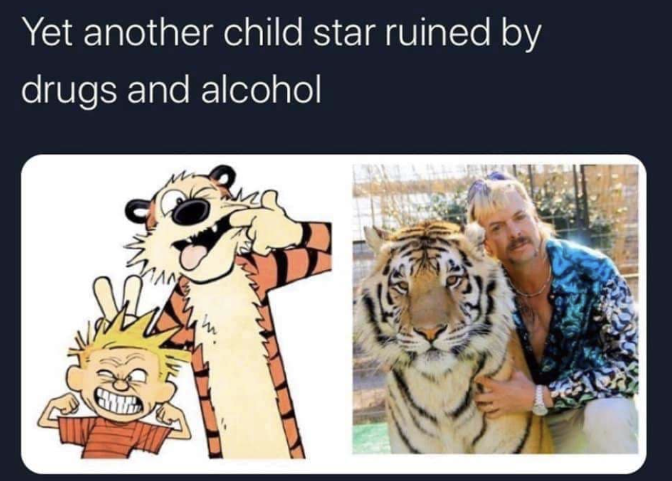 Chaotic Meh meme titled “Yet Another Child Star.”