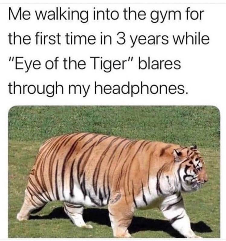 Chaotic Meh meme titled “Eye Of The Tiger First Time Gym.”